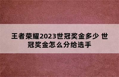 王者荣耀2023世冠奖金多少 世冠奖金怎么分给选手